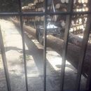 11218910_1577372669195683_6585850875962171589_n[1].jpg...